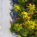 Australia's Leading Online Destination for Drone Enthusiasts