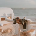 A Comprehensive Look at Parrot Drones: Everything You Need to Know