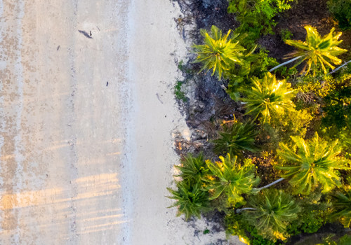 Australia's Leading Online Destination for Drone Enthusiasts